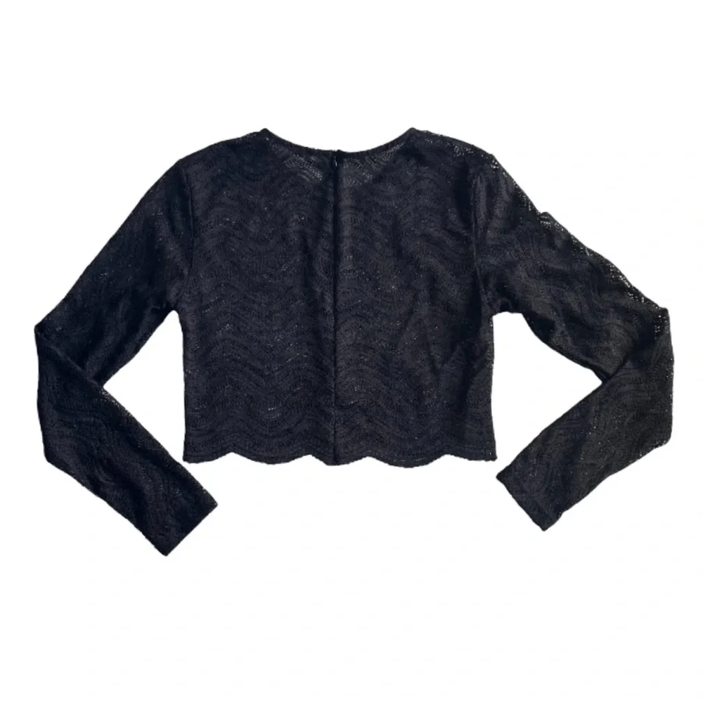 Zara Sheer Lace Long Sleeve Crop Top NEW